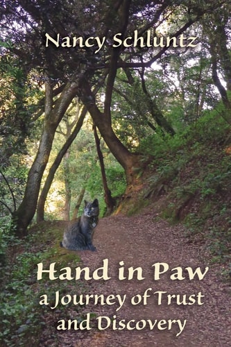 Hand in Paw A Journey of Trust and Discovery