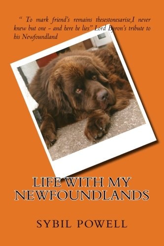 Life with My Newfoundlands