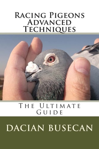 Racing Pigeons Advanced Techniques The Ultimate Guide