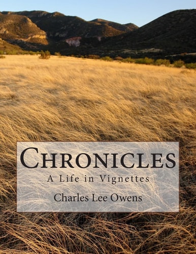 Chronicles A Life in Vignettes