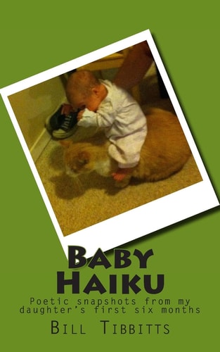 Baby Haiku Poetic Snapshots from My Daughter's First Six Months
