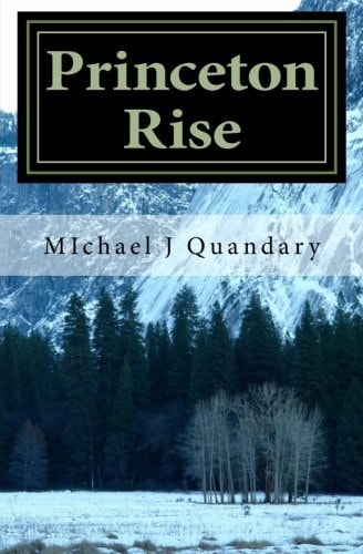 Princeton Rise A Princeton Roberts Novel