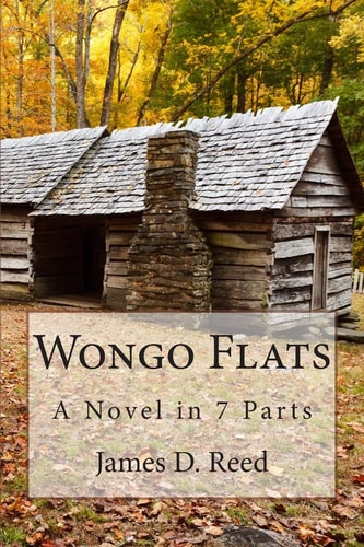 Wongo Flats A Novel in 7 Parts