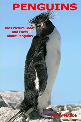 Penguins Kids Picture Book and Facts about Penguins