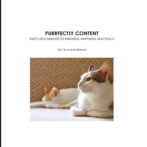 Purrfectly Content Fuzzy Little Insights to Kindness, Happiness and Peace