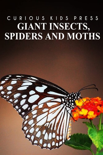 Giant Insects, Spiders and Moths - Curious Kids Press Kids Book about Animals and Wildlife, Children's Books 4-6