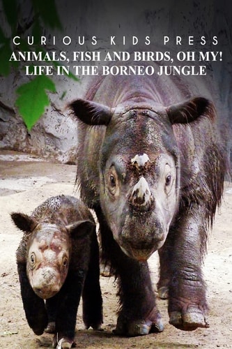Animals, Fish and Birds, Oh My! Life In The Borneo Jungle - Curious Kids Press Kids Book about Animals and Wildlife, Children's Books 4-6