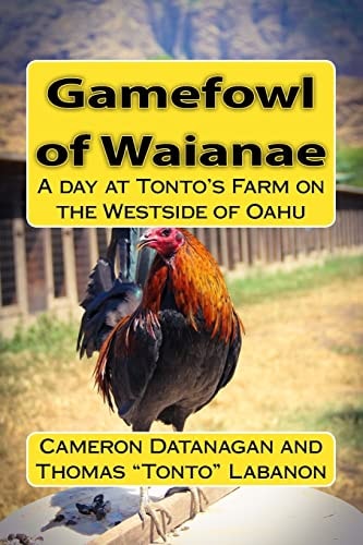 Gamefowl of Waianae A Day at Tonto's Farm on the Westside of Oahu
