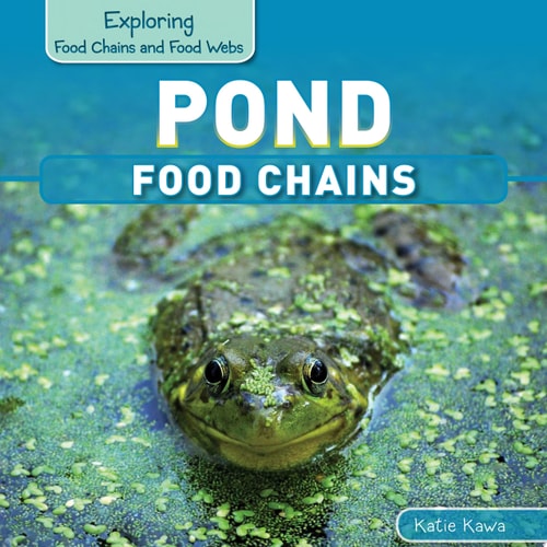 Pond Food Chains
