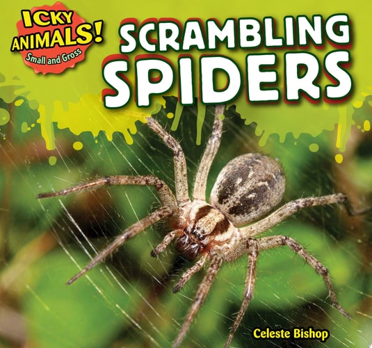 Scrambling Spiders