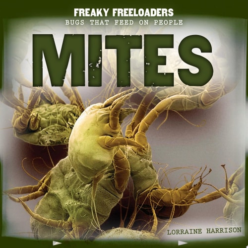 Mites