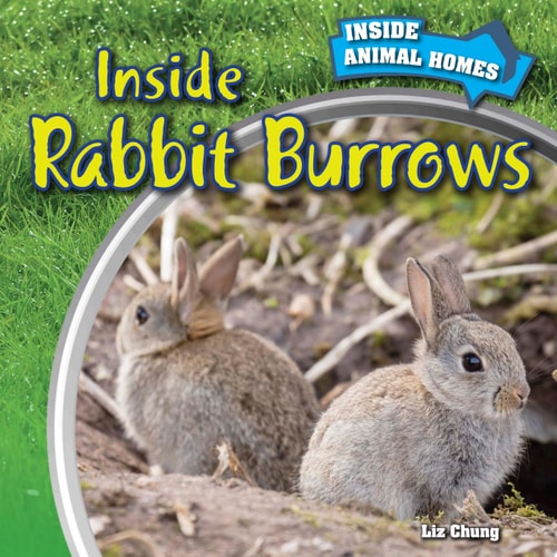 Inside Rabbit Burrows