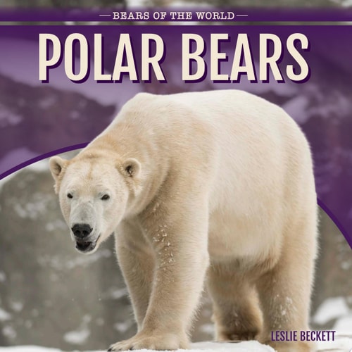 Polar Bears