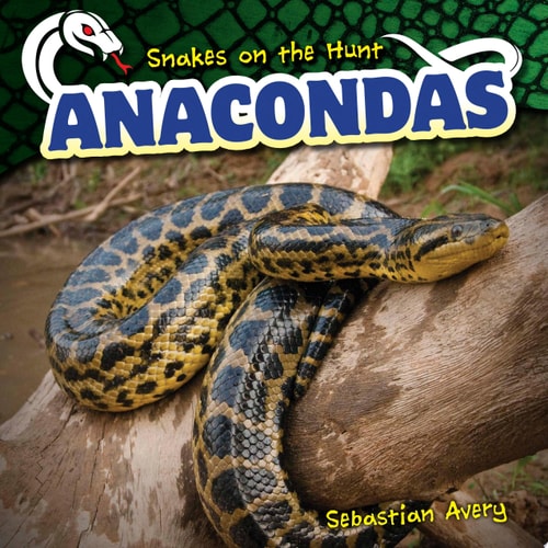 Anacondas