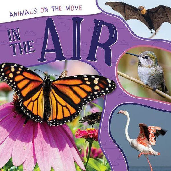 In the Air