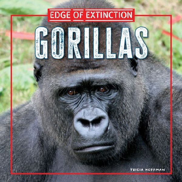 Gorillas