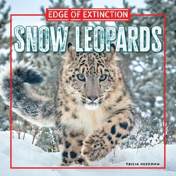 Snow Leopards