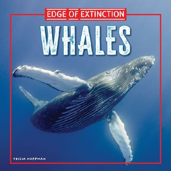 Whales
