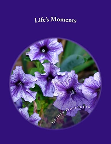 Life's Moments An Insight Into My World
