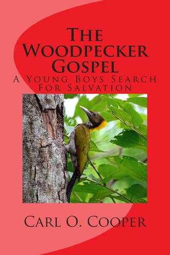 The Woodpecker Gospel A Young Boys Search for Salvation