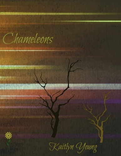 Chameleons Young Adult Novel