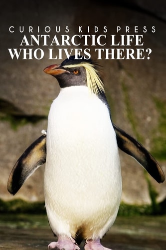 Antarctic Life Who Lives There? - Curious Kids Press Kids Book about Animals and Wildlife, Children's Books 4-6