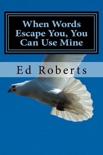 When Words Escape You, You Can Use Mine