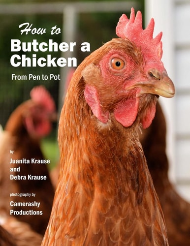 How to Butcher a Chicken From Pen to Pot