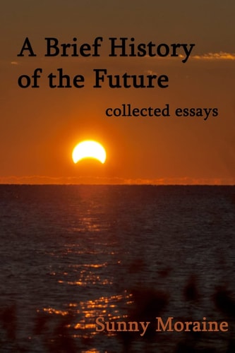 A Brief History of the Future Collected Essays