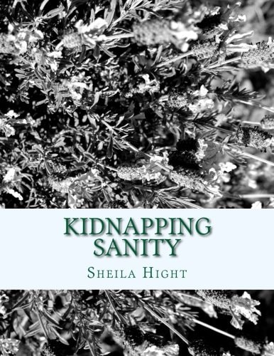 Kidnapping Sanity