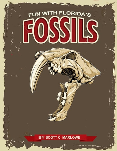 Fun With Florida's Fossils A Learning Workbook for Young Paleontologists