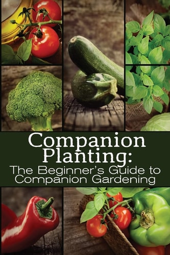 Companion Planting The Beginner's Guide to Companion Gardening
