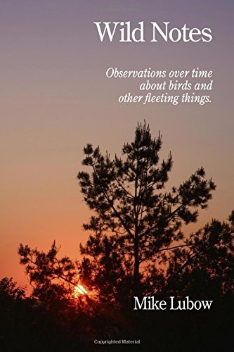Wild Notes Observations Over Time about Birds and Other Fleeting Things
