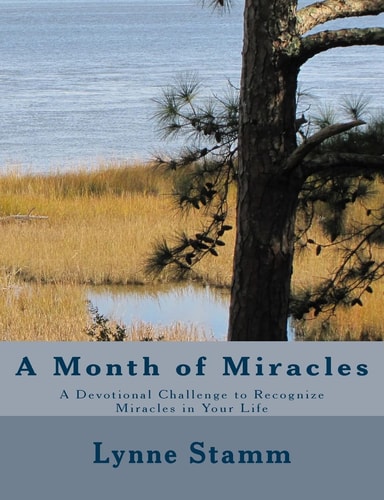 A Month of Miracles A Devotional Challenge to Recognize Miracles in Your Life