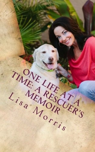 One Life at a Time A Rescuer's Memoir