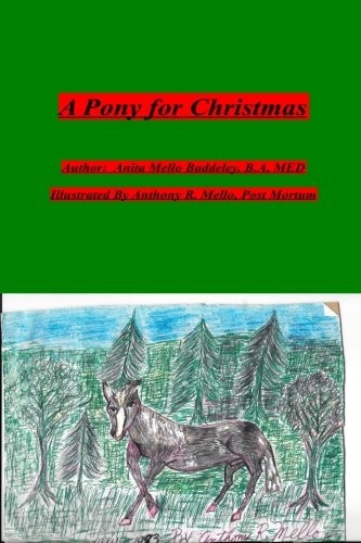 A Pony for Christmas Memories of My Dad and Grandfathers