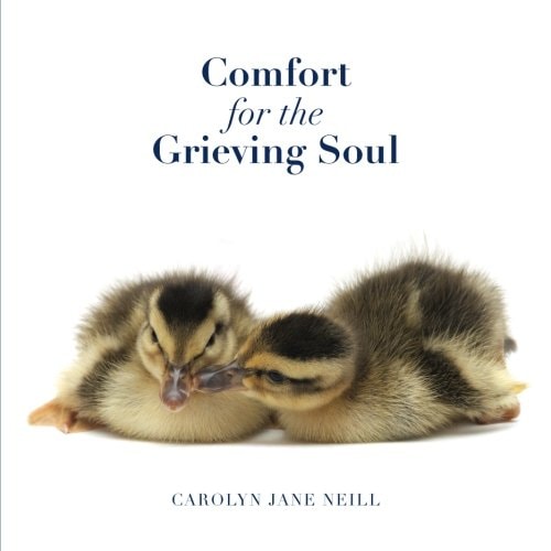 Comfort for the Grieving Soul