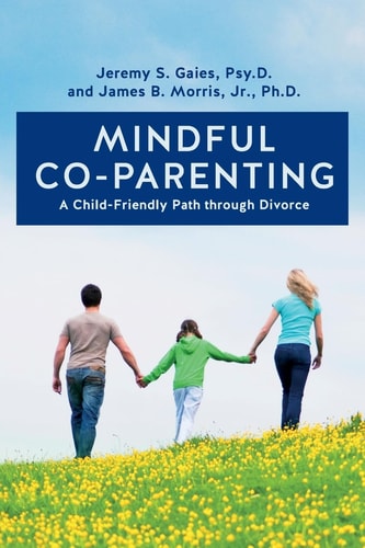 Mindful Co-parenting A Child-Friendly Path Through Divorce