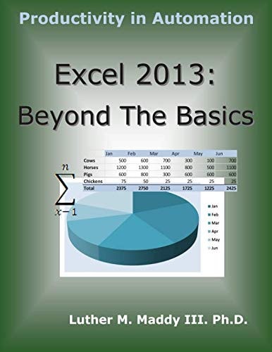 Excel 2013 Beyond the Basics