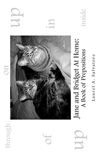 Jane and Bridget At Home A Book of Prepositions