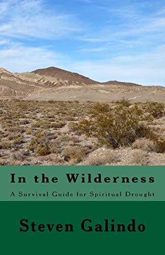 In the Wilderness A Survival Guide for Spiritual Drought