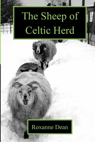 The Sheep of Celtic Herd What Are Ewe Thinking?