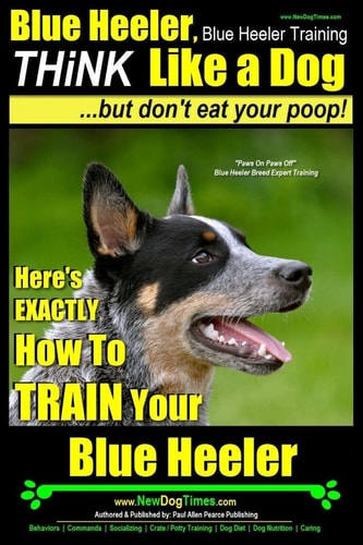 Blue Heeler, Blue Heeler Training, Think Like a Dog, But Don't Eat Your Poop! 'Paws on Paws Off' Blue Heeler Breed Expert Dog Training. Here's EXACTLY How to TRAIN Your Blue Heeler