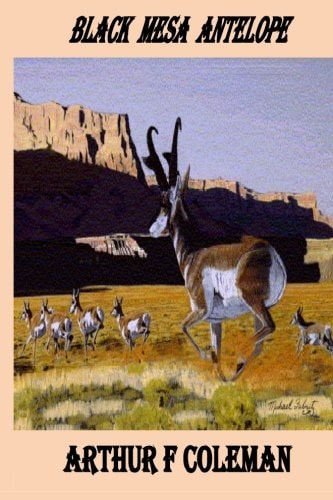 Black Mesa Antelope