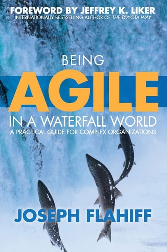 Being Agile in a Waterfall World A Practical Guide for Complex Organizations