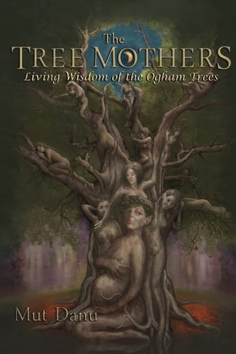 The Tree Mothers Living Wisdom of the Ogham Trees