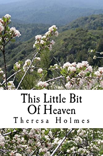 This Little Bit Of Heaven Book One of the Starfield Valley Tales