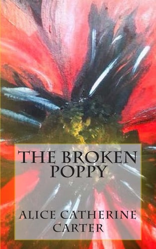 The Broken Poppy Remembering All Who Died in World War One, on It's 100th Anniversary