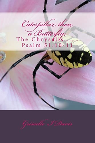 Caterpillar Then a Butterfly; The Chrysalis... of a Seeker!