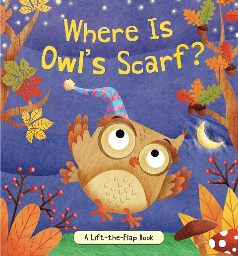 Where Is Owls Scarf?: A Lift-The-Flap Book